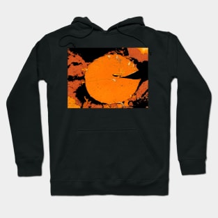 Fanta Pad Hoodie